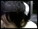 500-size-IMG00039-20100123-1951